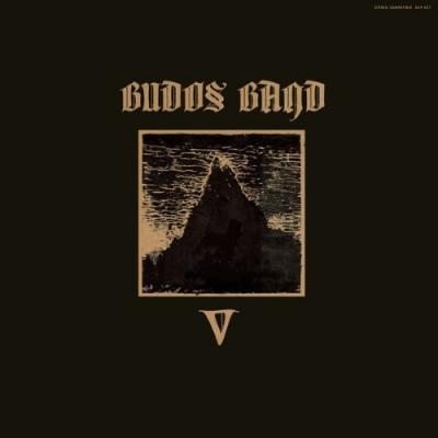 V - Vinyle Gris