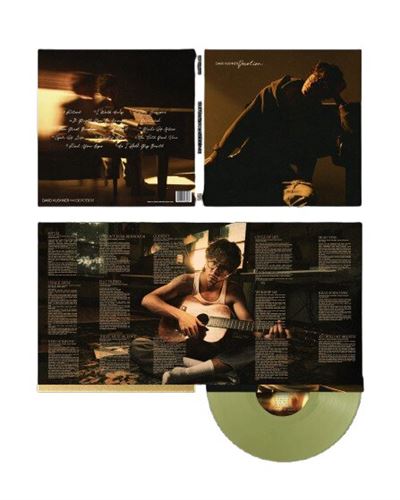 Devotion Vinyle Vert