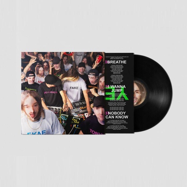 Nothing's Fake - Vinyle