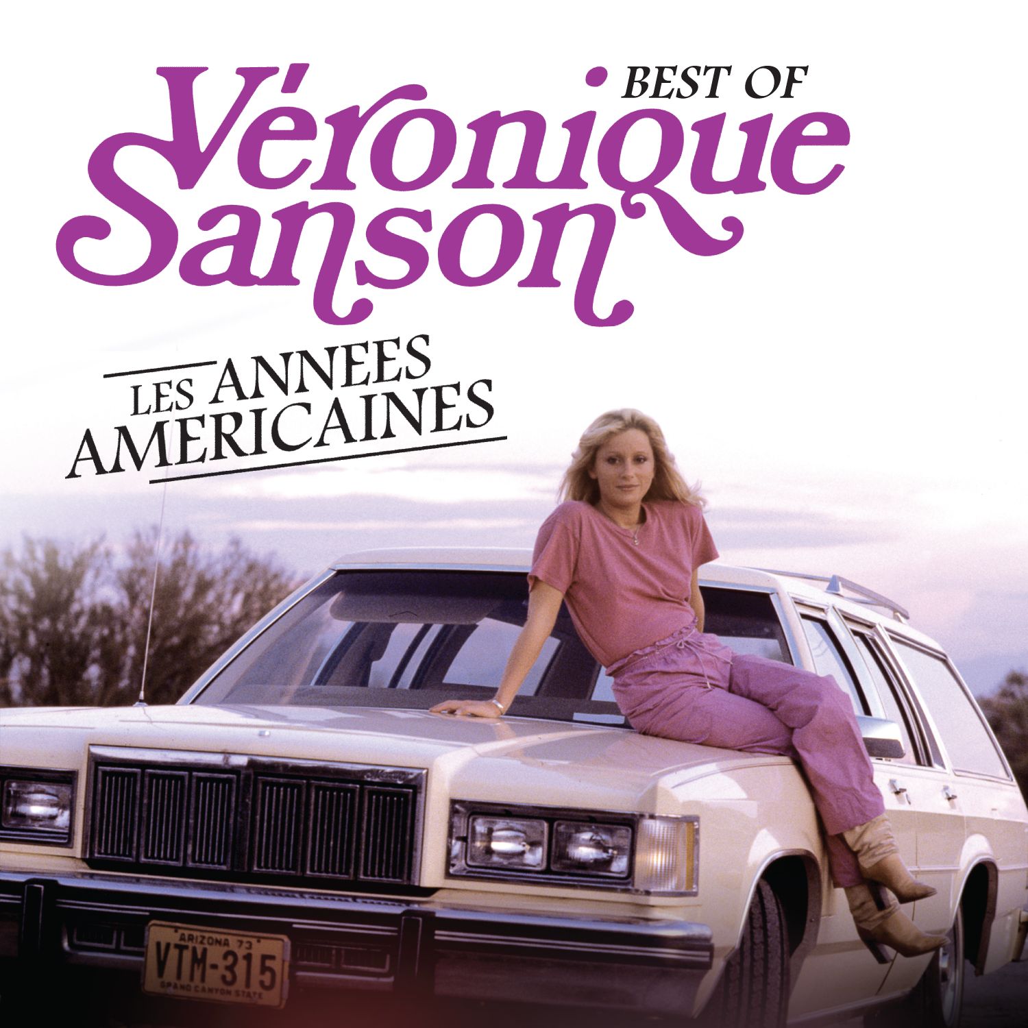 LES ANNEES AMERICAINES