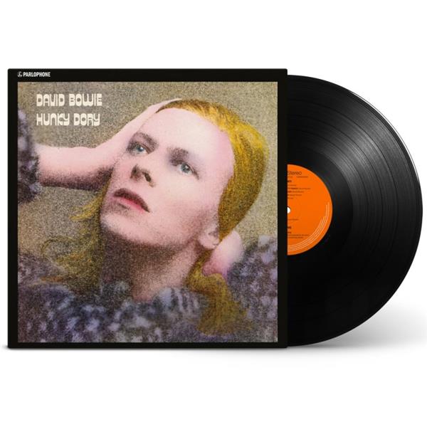 Hunky Dory
