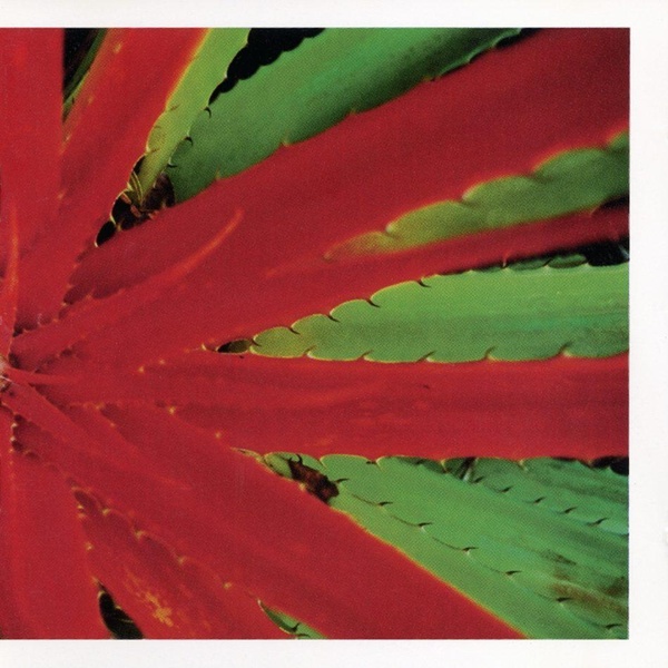 This Afternoons Malady - édition colorée - Vinyle