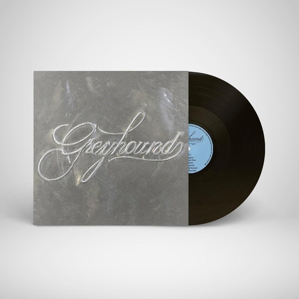 Greyhound