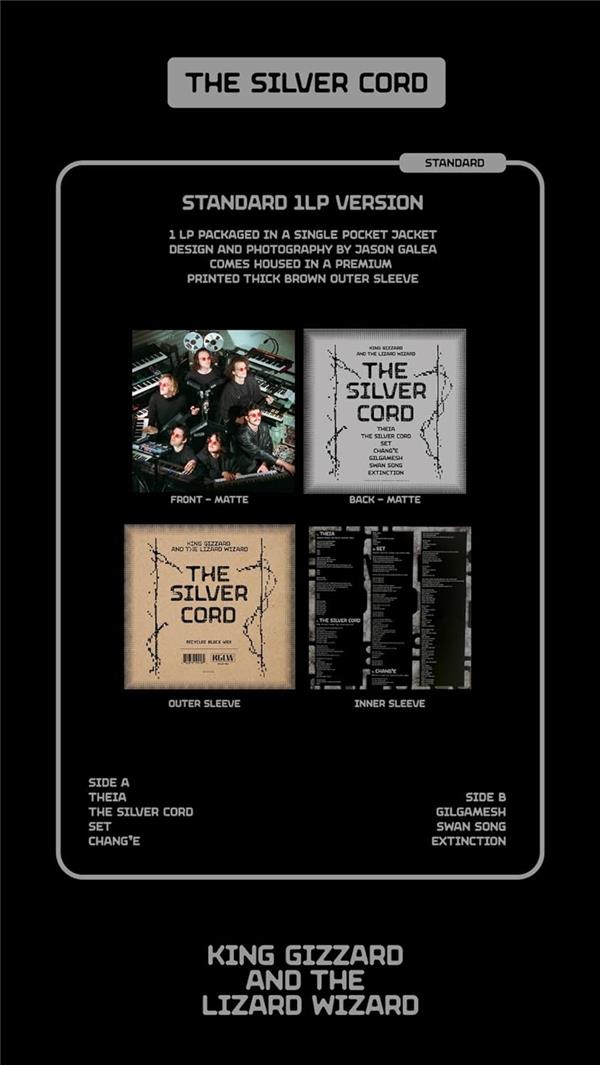 The Silver Cord