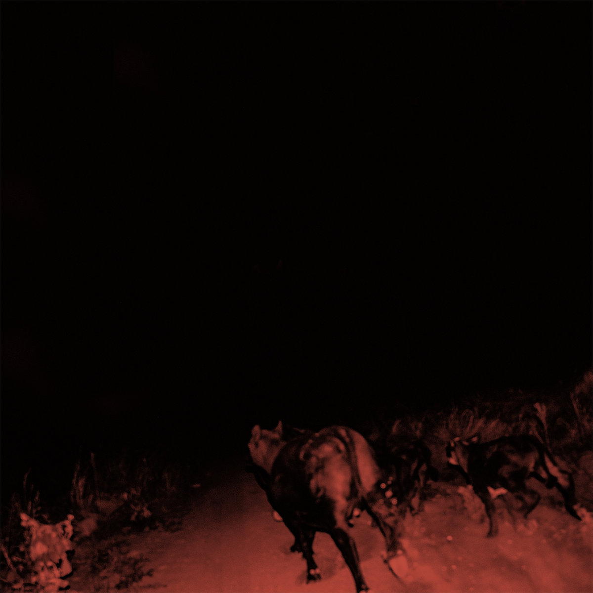 Shadow On Everything - Vinyle Blanc