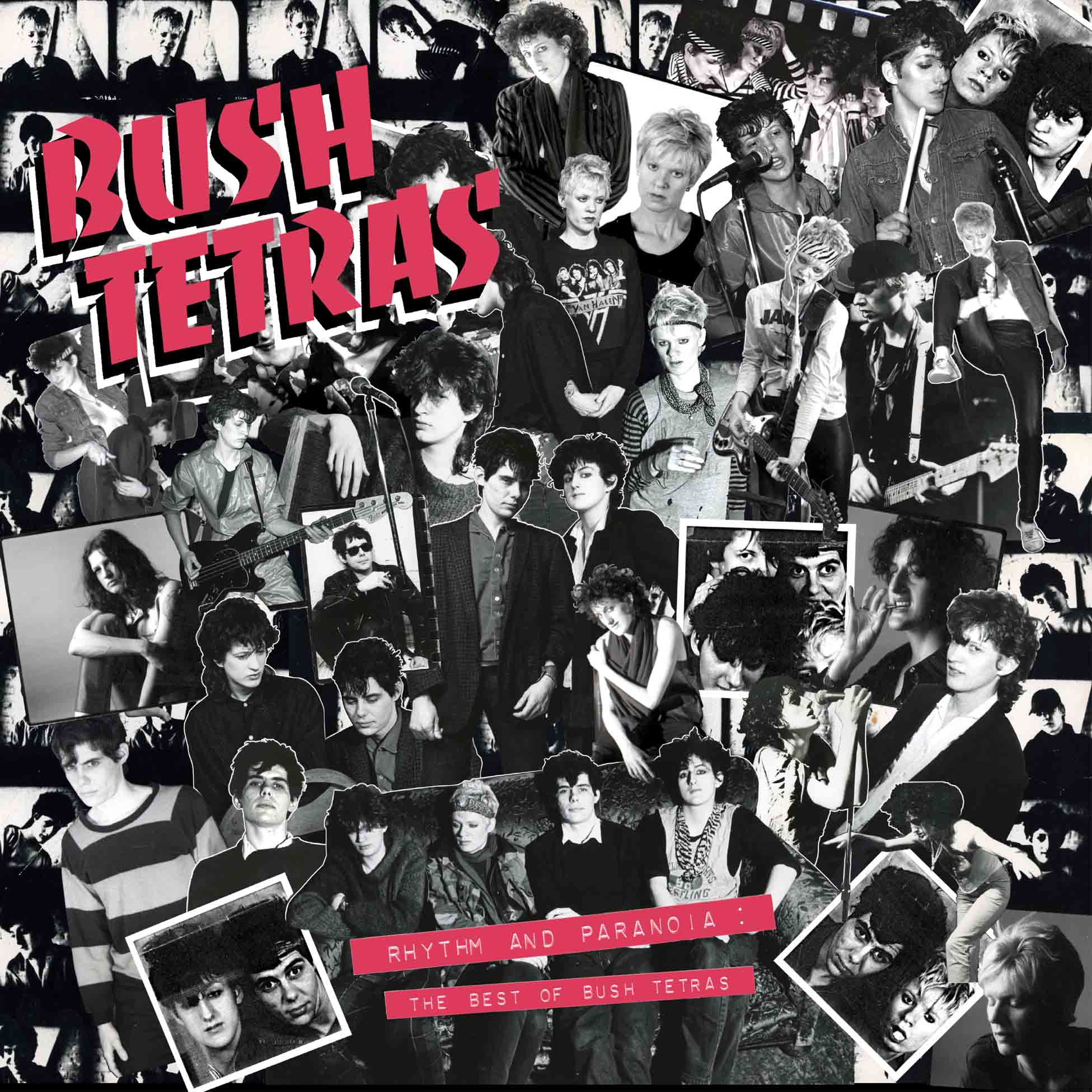 Rhythm And Paranoia: The Best Of Bush Tetras - Coffret 3 Vinyles 180 Gr + Livre 46 Pages