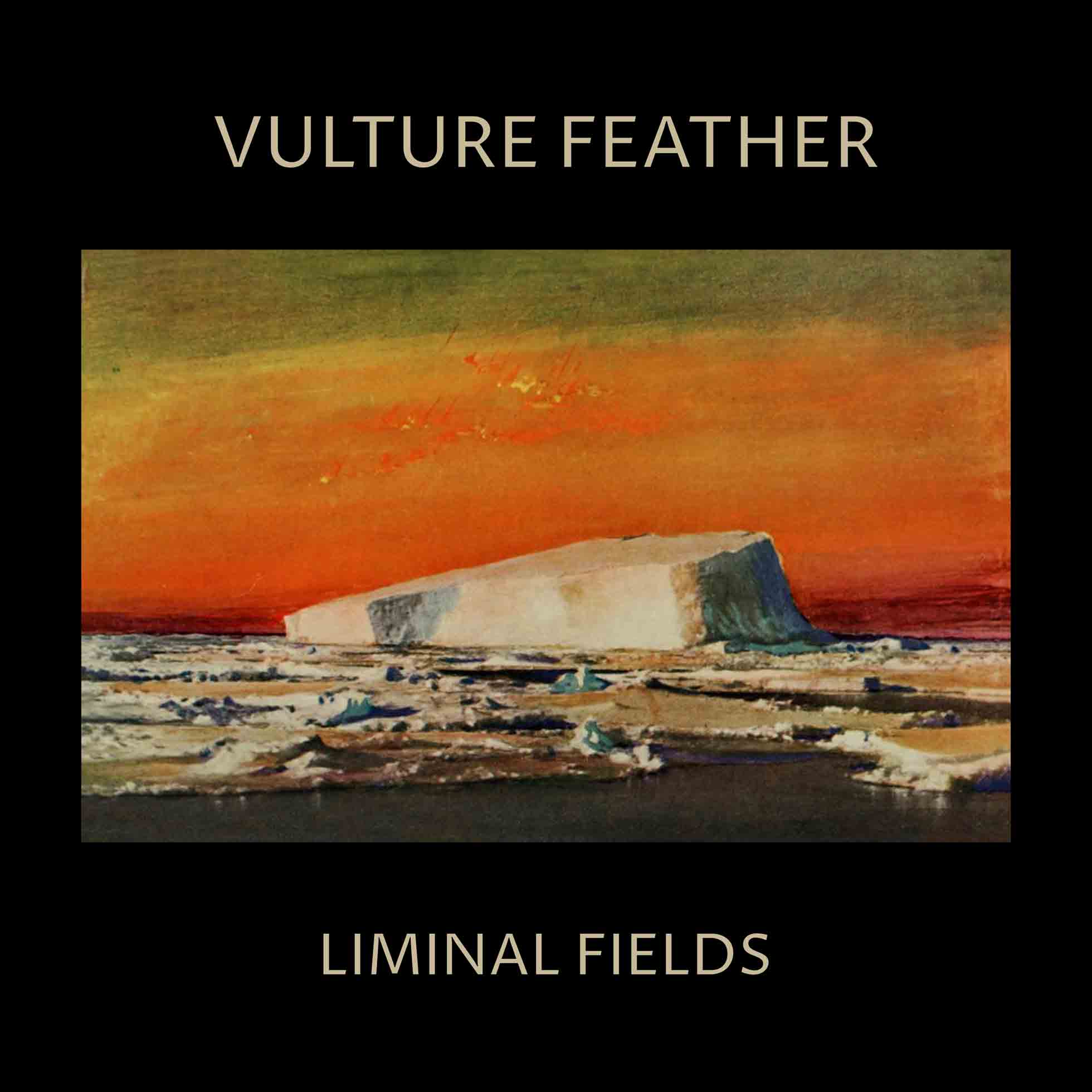 Liminal Fields - Vinyle Couleur Os