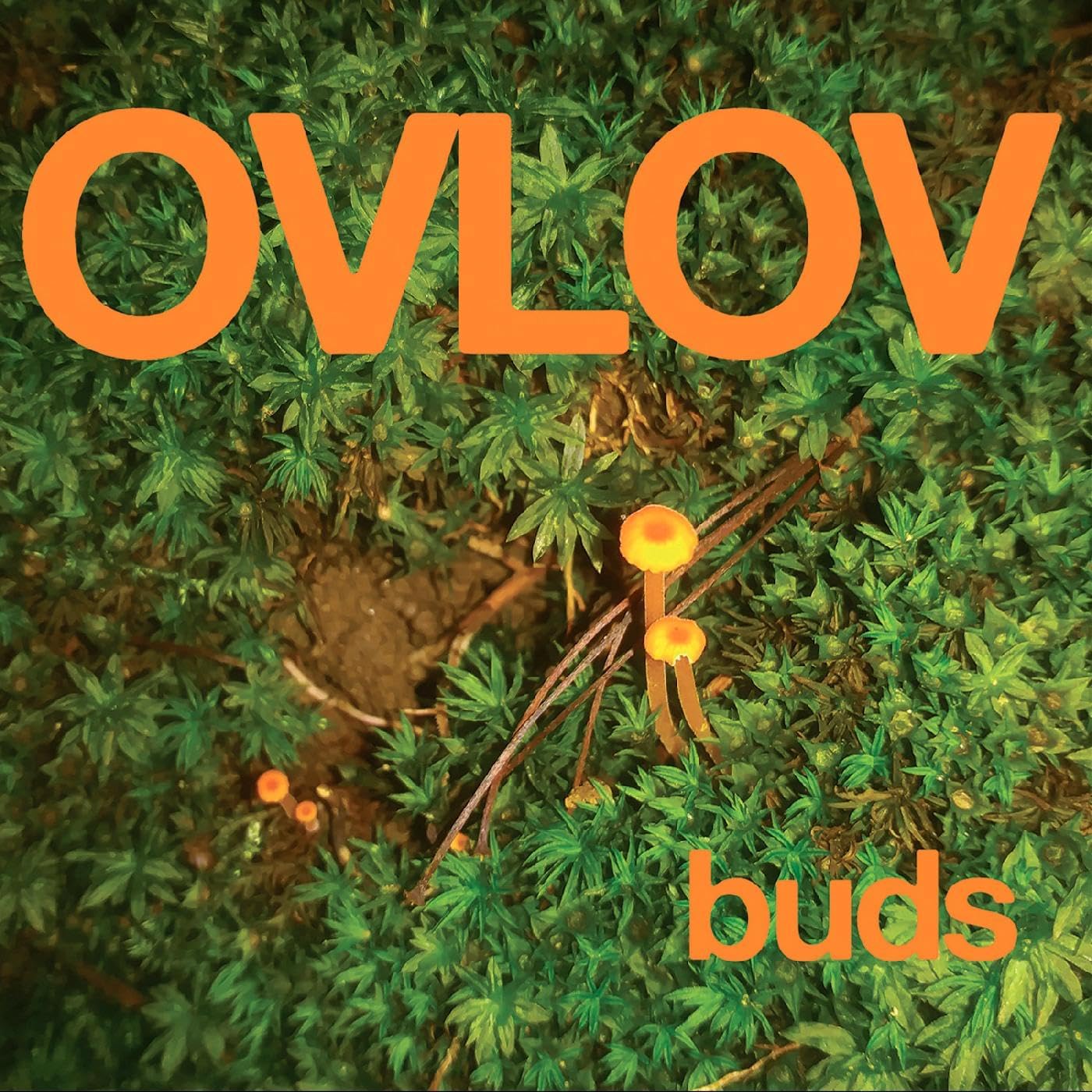 BUDS/VINYLE VERT
