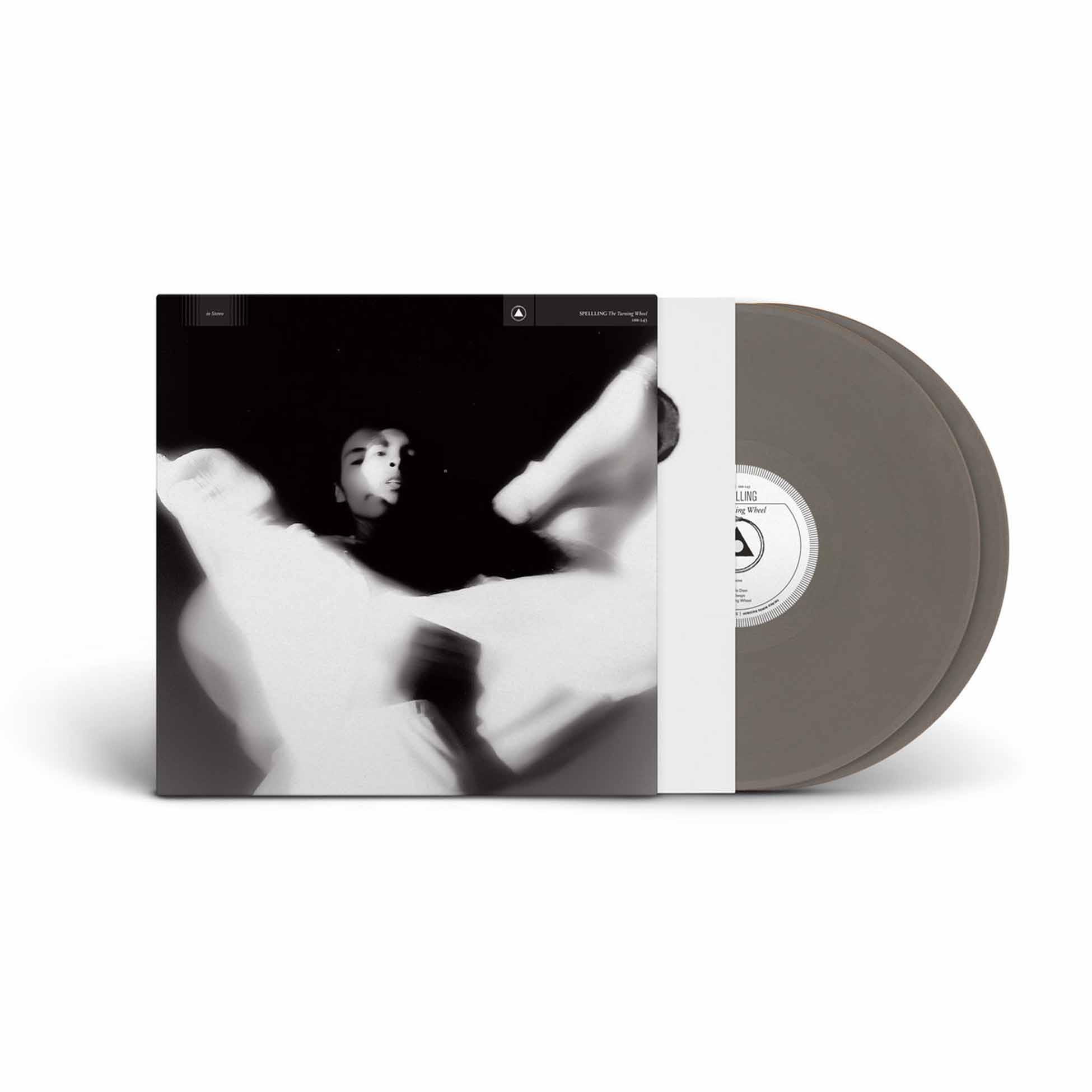 The Turning Wheel - Vinyle Argent