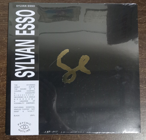 Sylvan Esso