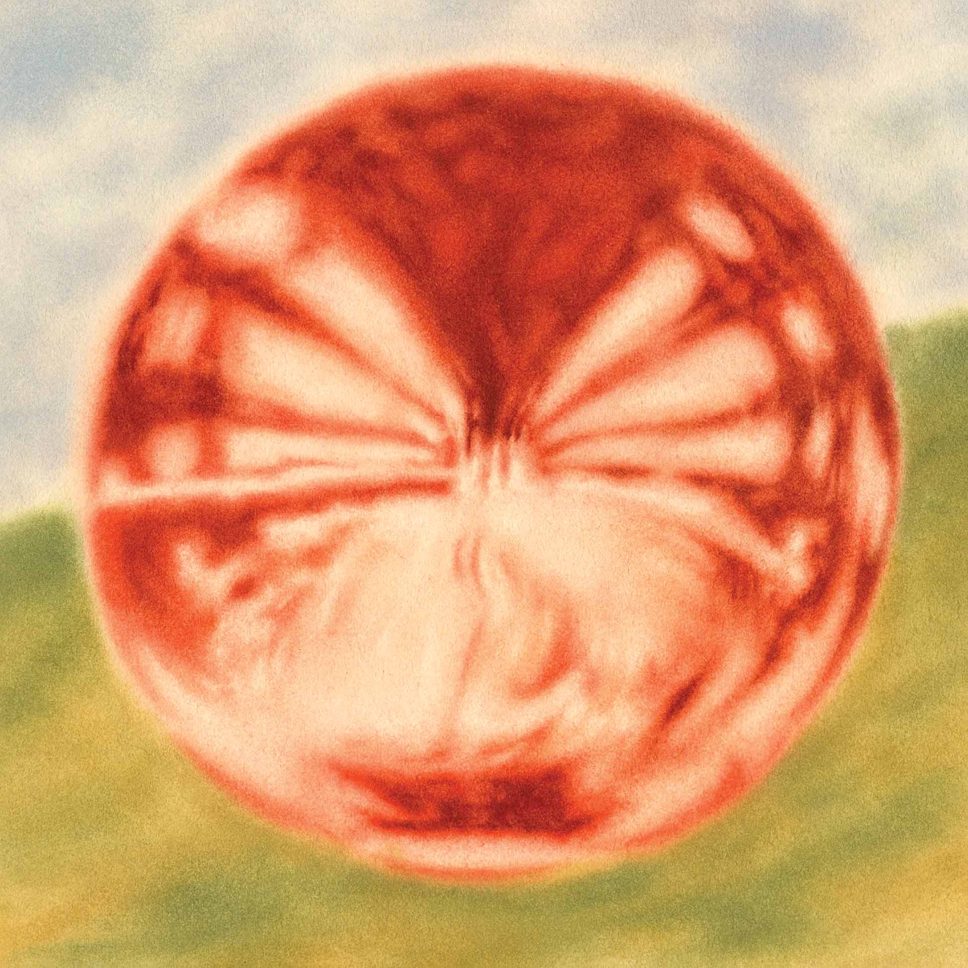 Heart Of The Artichoke - Vinyle Marbré Orange