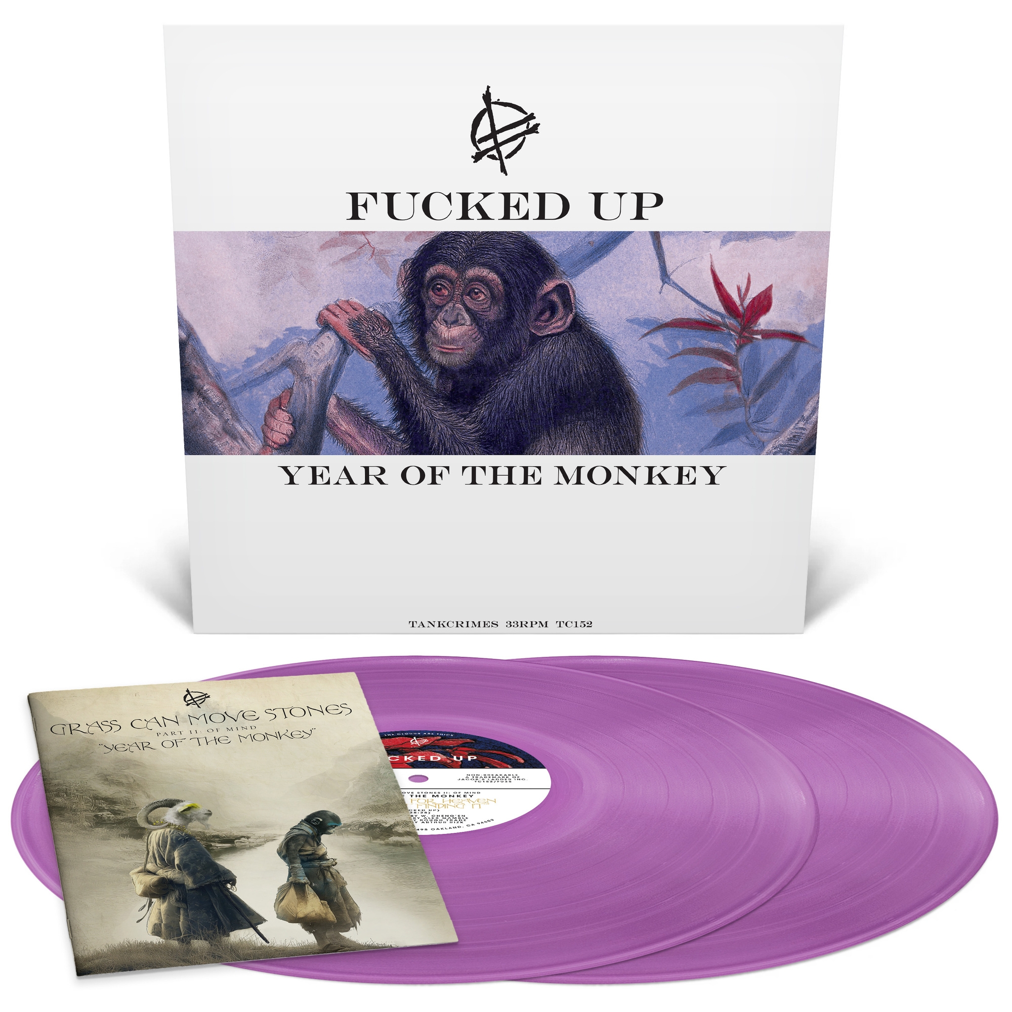 Year Of The Monkey