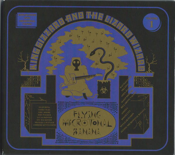 Flying Microtonal Banana