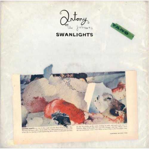 SWANLIGHTS