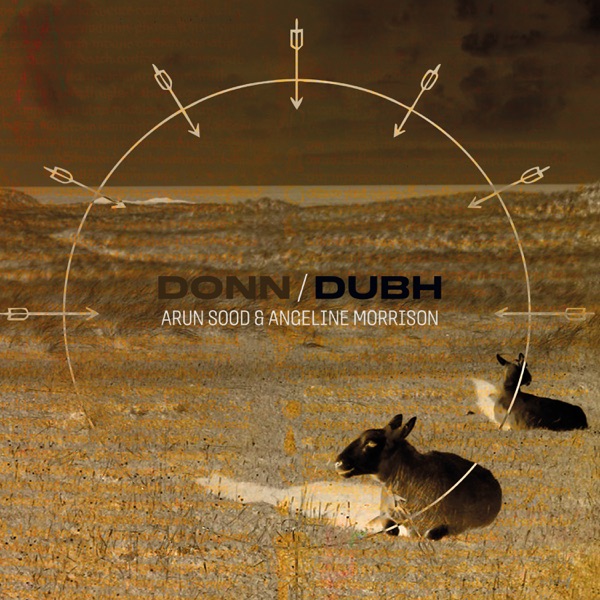 Donn/Dubh