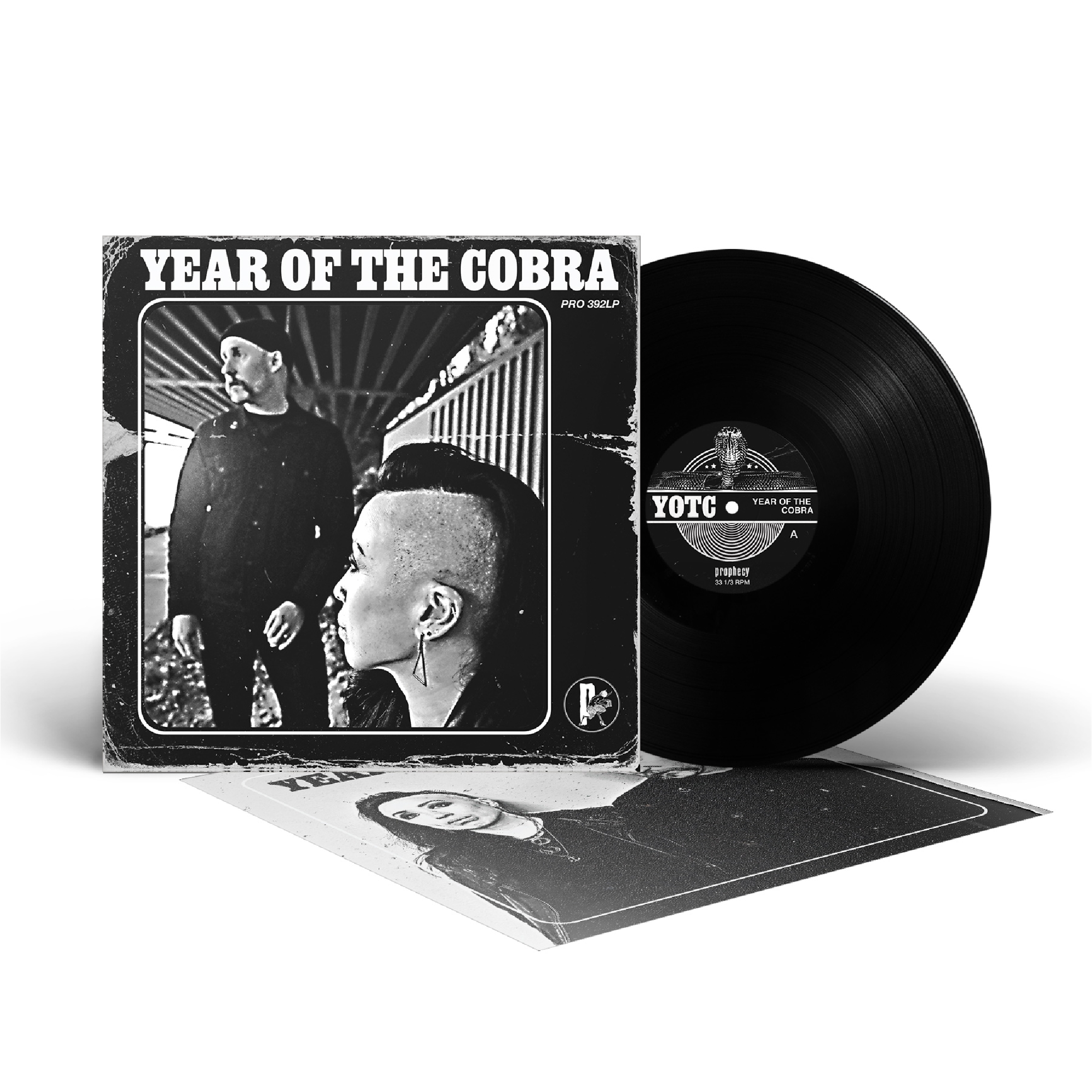 Year Of The Cobra