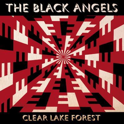 Clear lake forest
