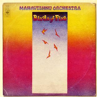 Birds of fire