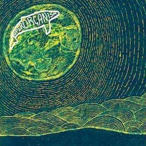 Superorganism
