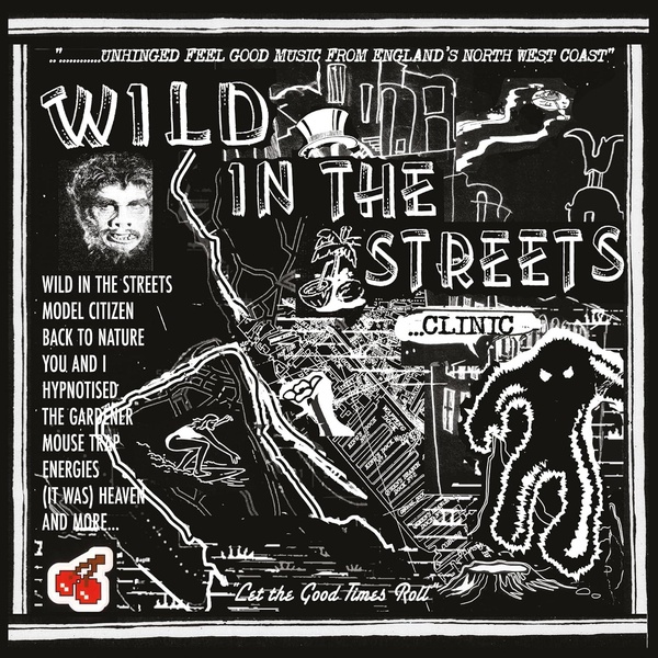 Wild In The Streets