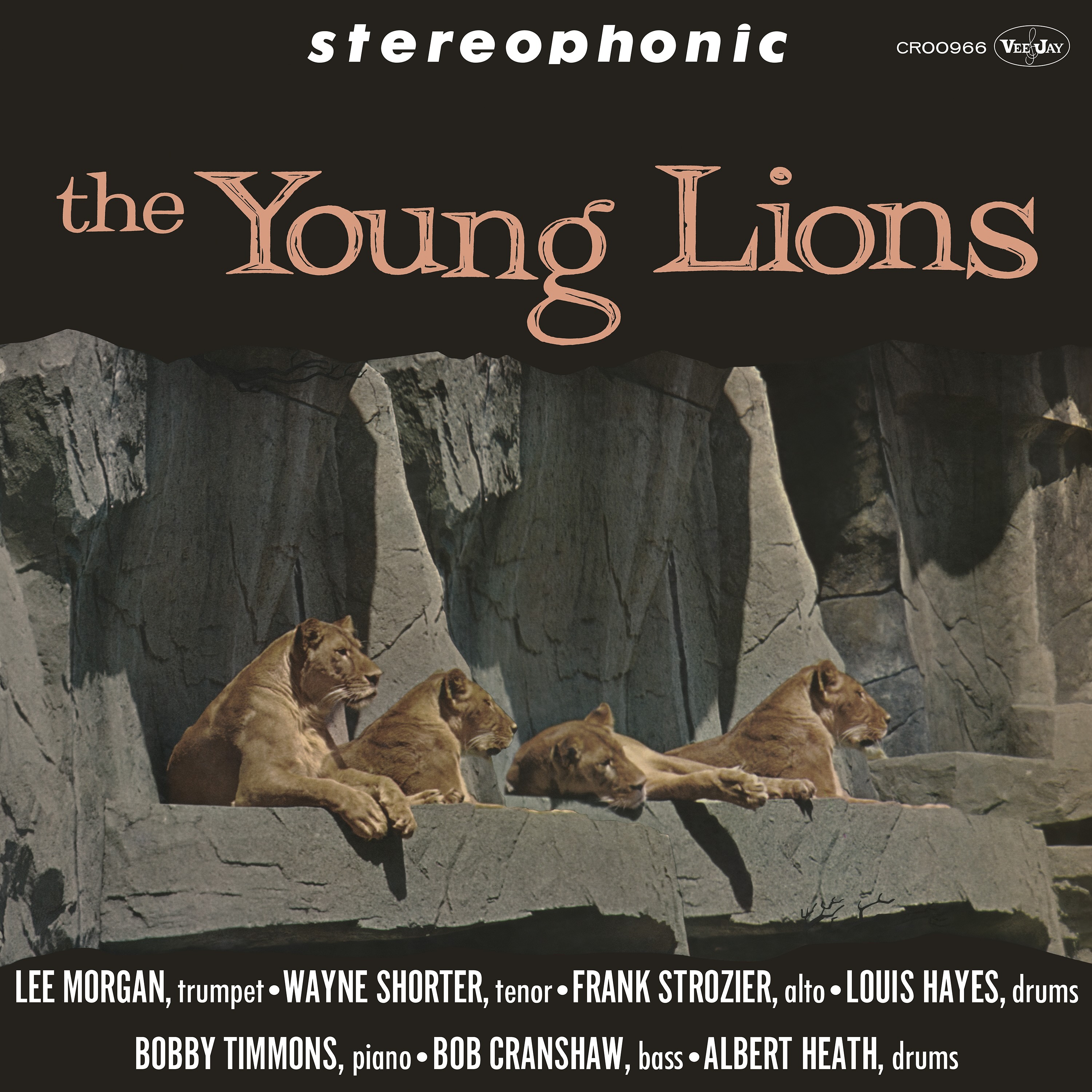 The Young Lions