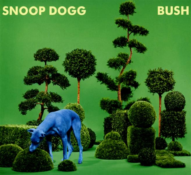 BUSH
