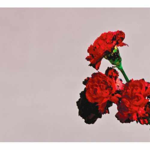 Love in the future Edition Deluxe