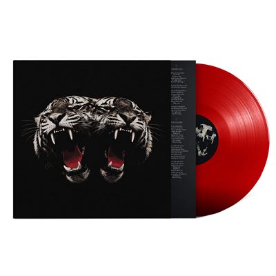 Dead Company Édition Limitée Exclusivité Fnac Vinyle Rouge Transparent