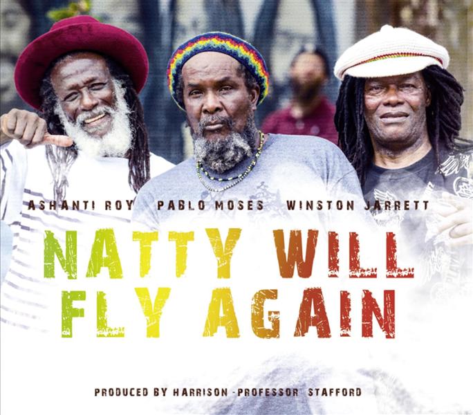 Natty Will Fly Again