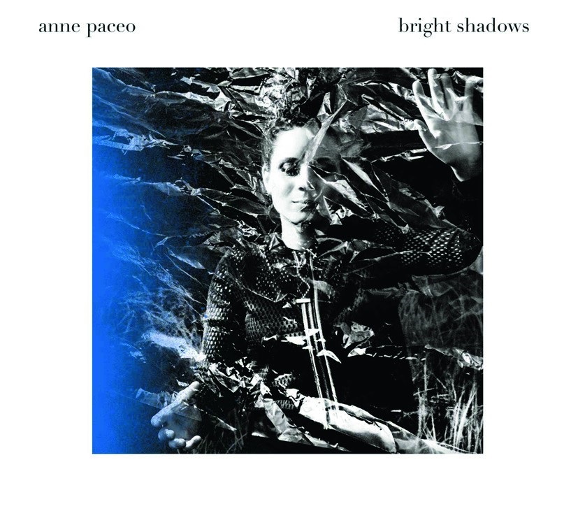 Bright Shadows