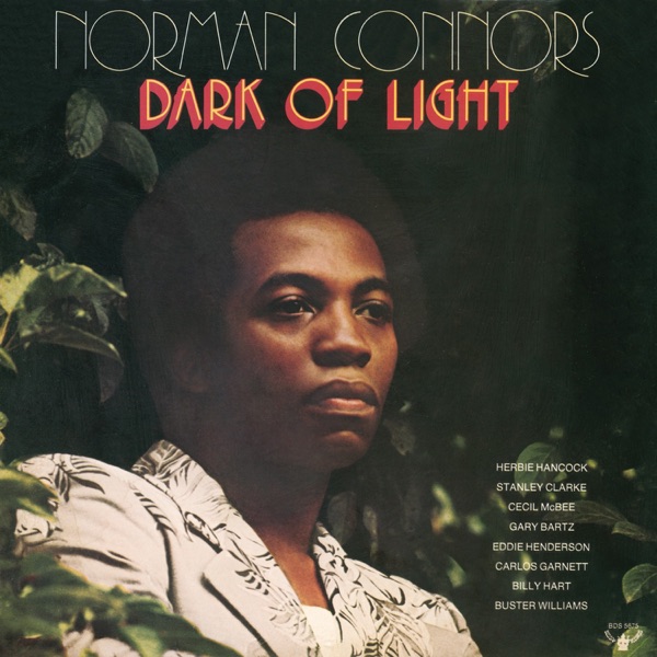 DARK OF LIGHT