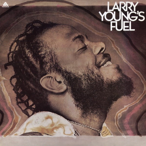 LARRY YOUNG'S FUEL