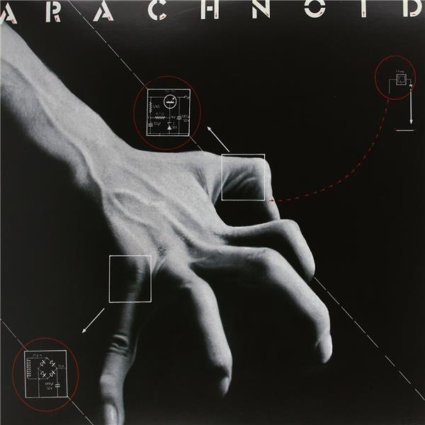 Arachnoid