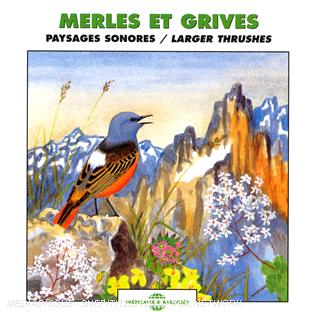 Merles et grives