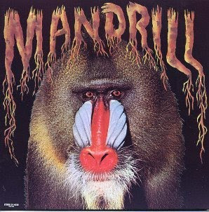 Mandrill