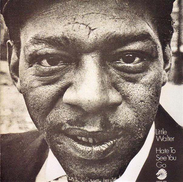Hate To See You Go (180 Gram)