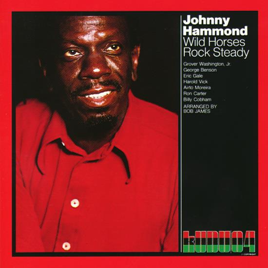 Wild Horses/Rock Steady