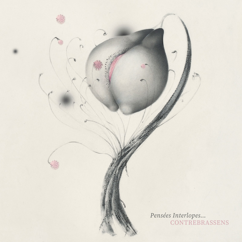 PENSEES INTERLOPES