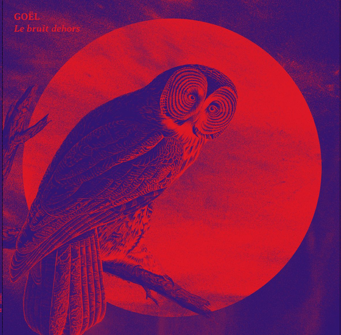 LE BRUIT DEHORS (vinyl)