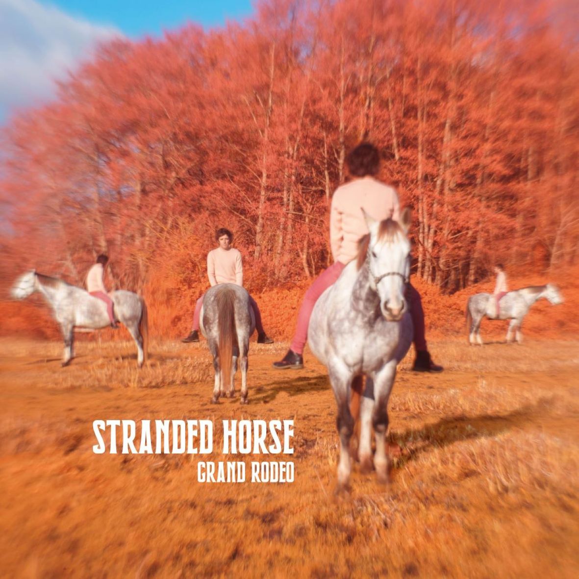GRAND RODEO (vinyl)