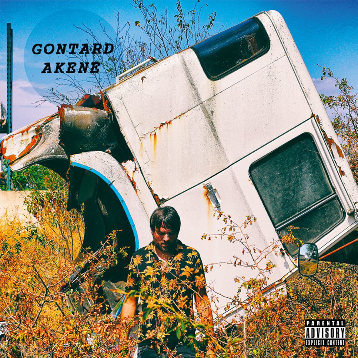 AKENE (vinyl)