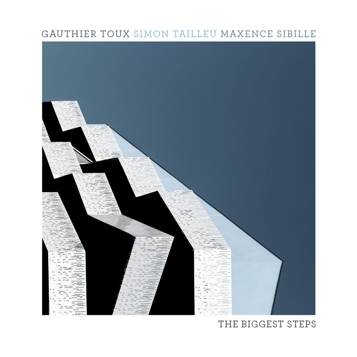 THE BIGGEST STEPS (vinyl)
