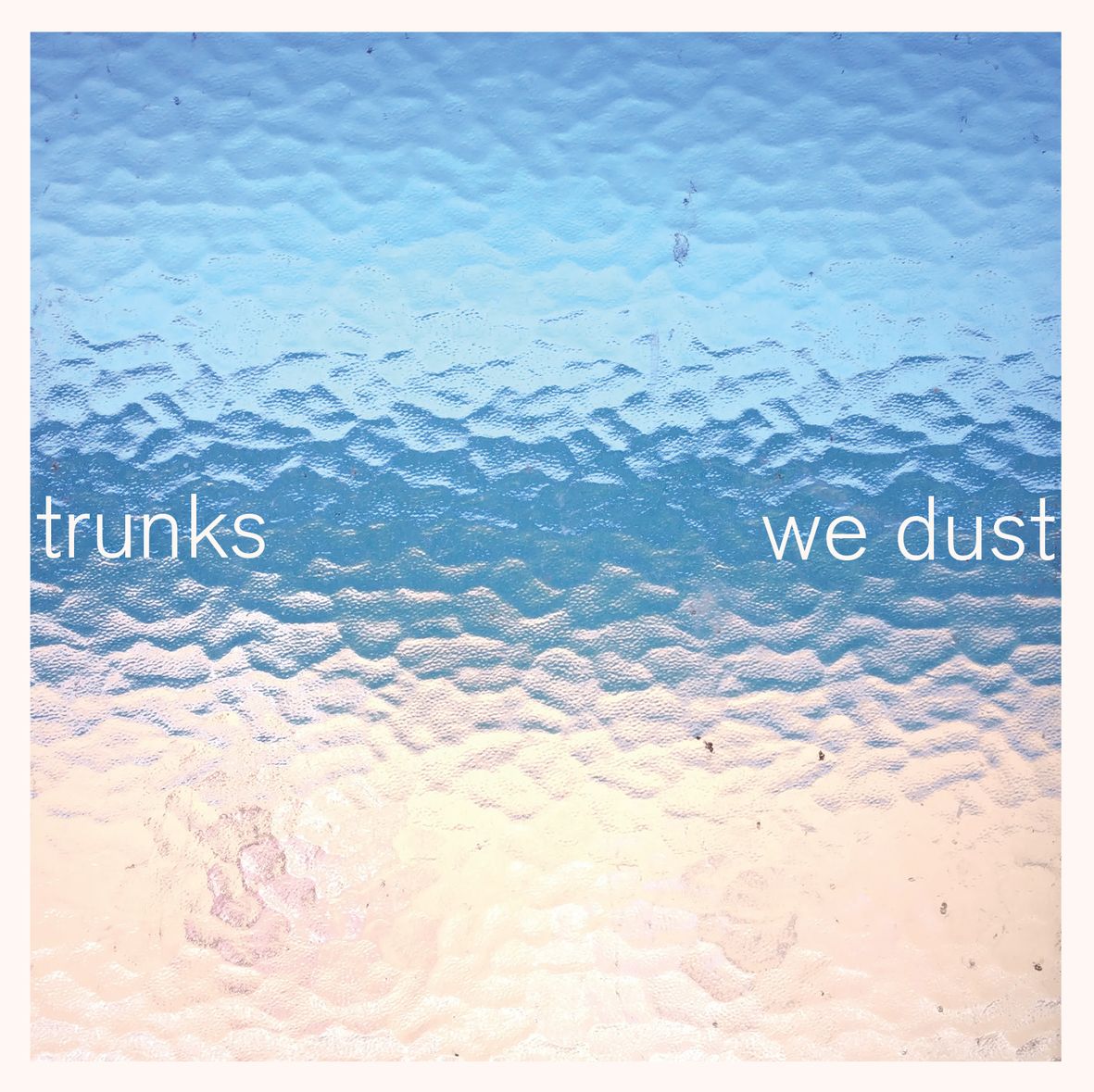 WE DUST (vinyl)