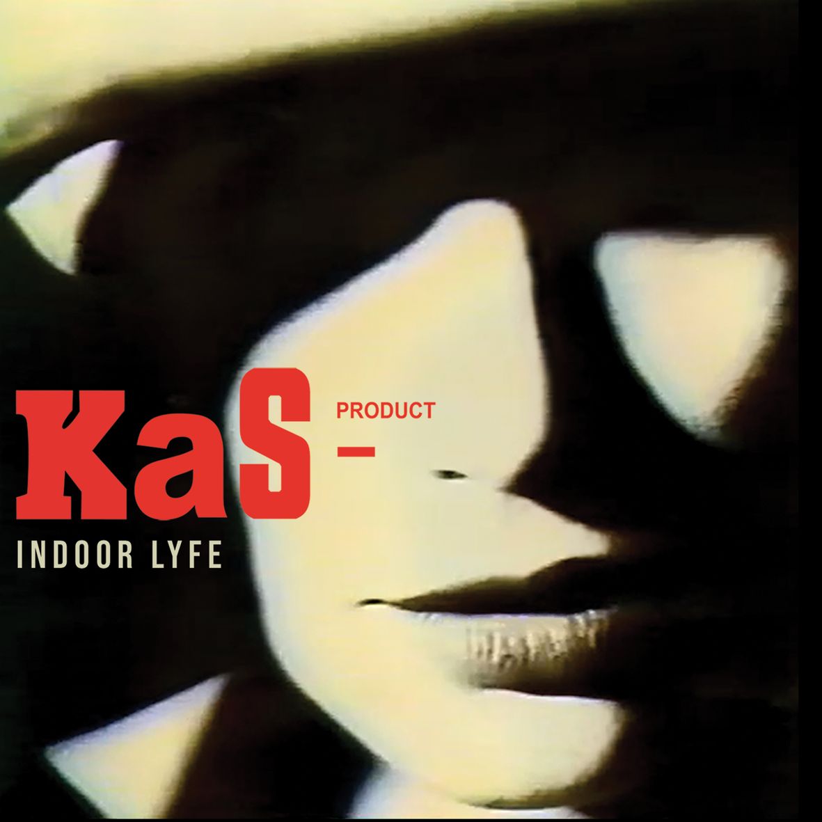 INDOOR LYFE (vinyl, maxi 45T)