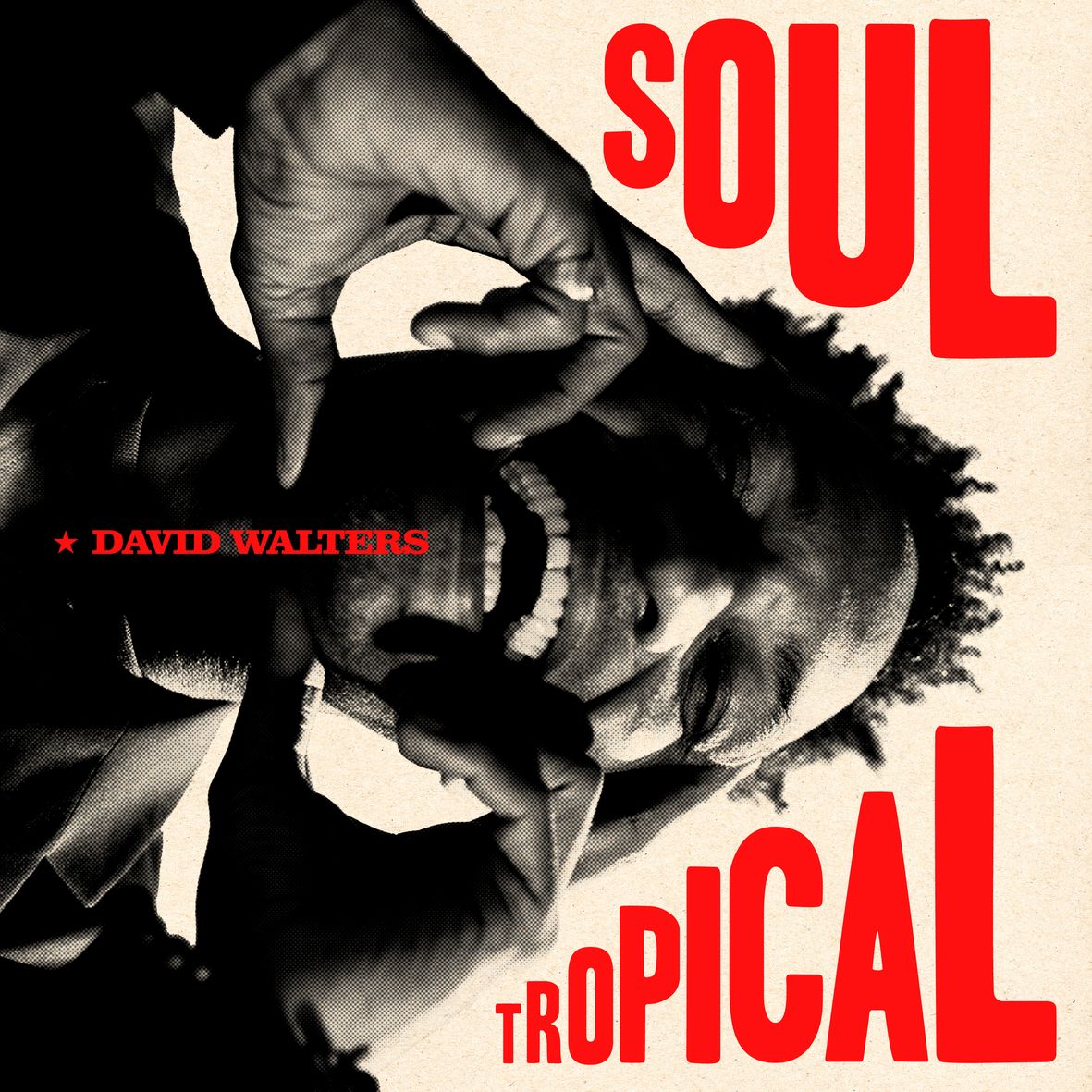 SOUL TROPICAL (vinyl)