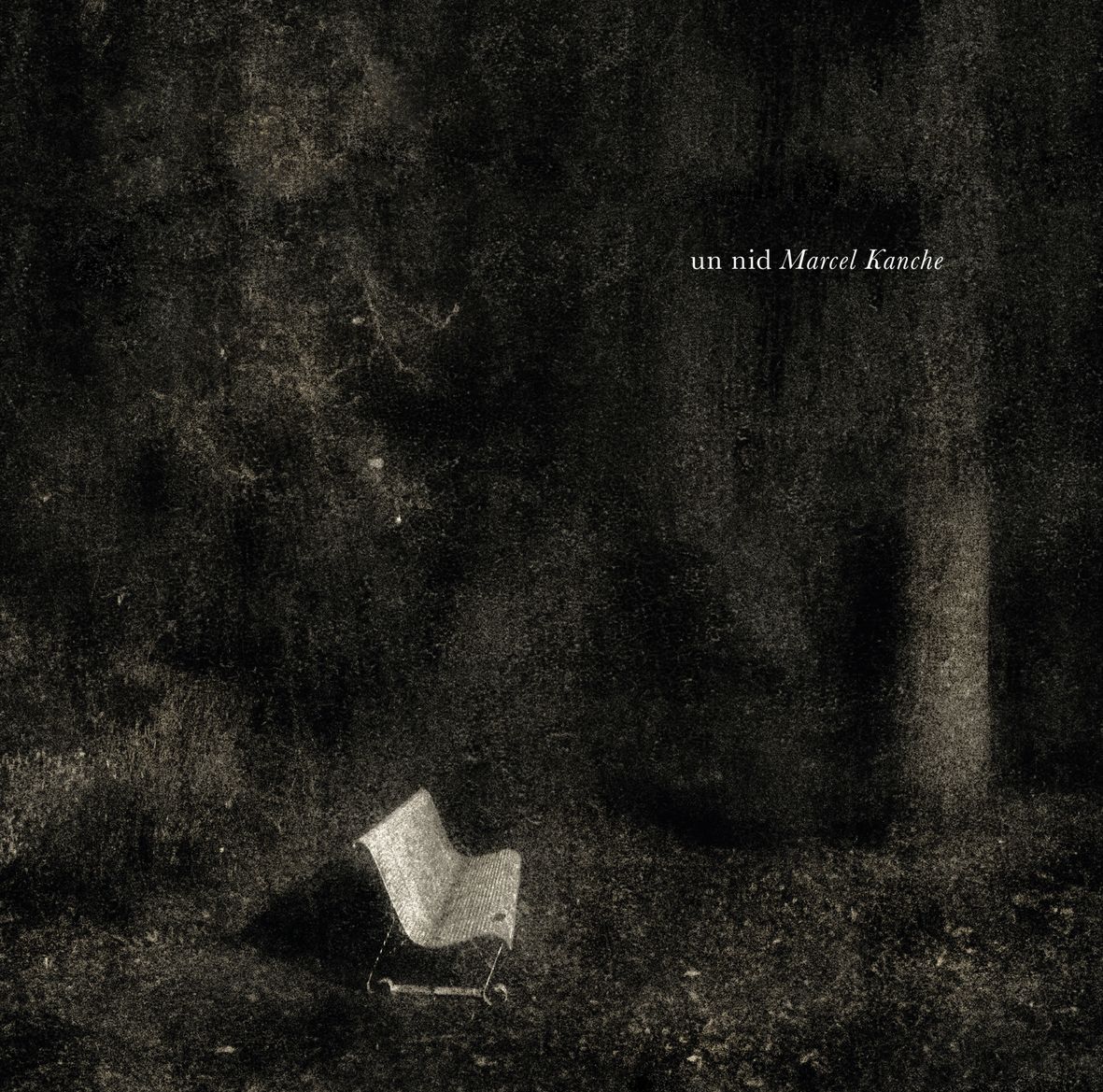 UN NID (vinyl)