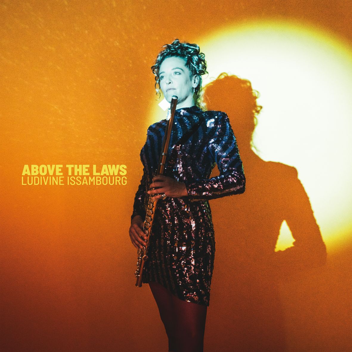 ABOVE THE LAWS (vinyl 180 gr)