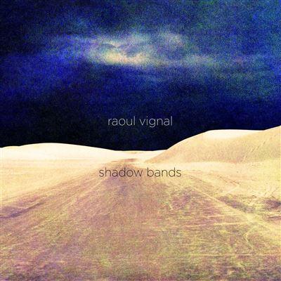 SHADOWS BANDS (vinyl)