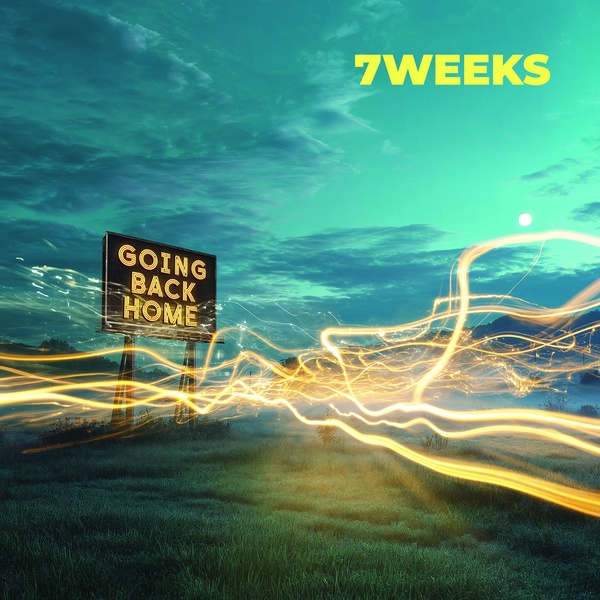 Going Back Home - Vinyle
