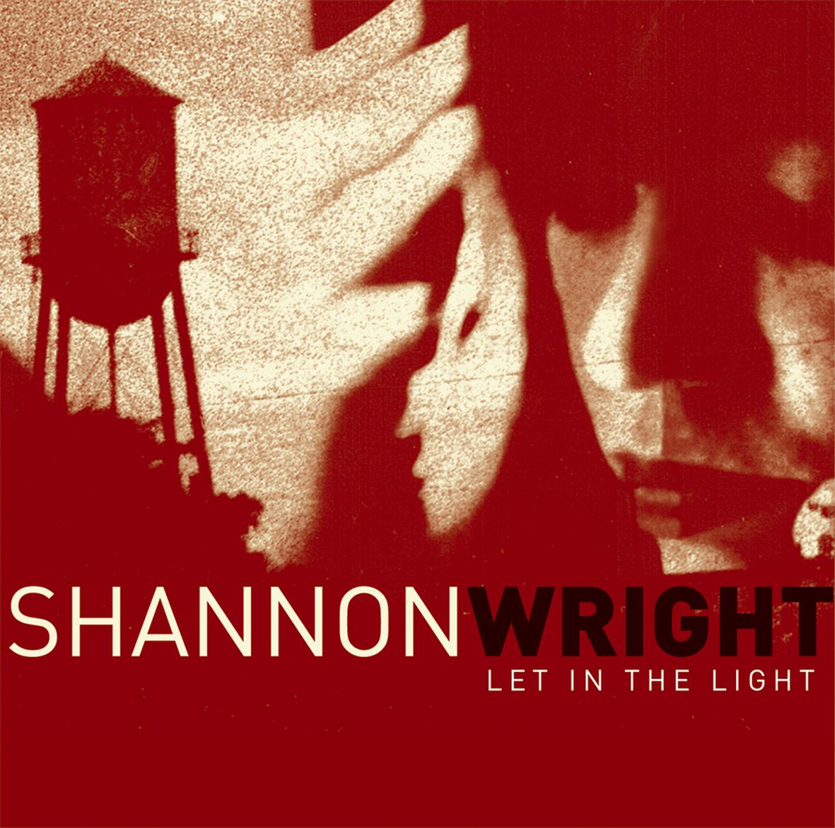 LET IN THE LIGHT (vinyl)